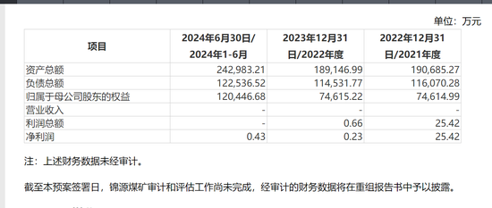 美锦能源关联收购：于己短期无大益 解困大股东