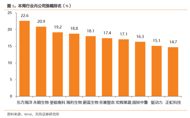 2024年10月28日 第22页