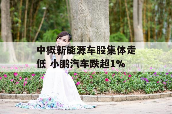 中概新能源车股集体走低 小鹏汽车跌超1%