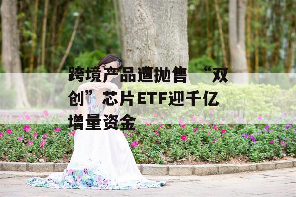 跨境产品遭抛售 “双创”芯片ETF迎千亿增量资金