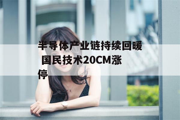 半导体产业链持续回暖 国民技术20CM涨停