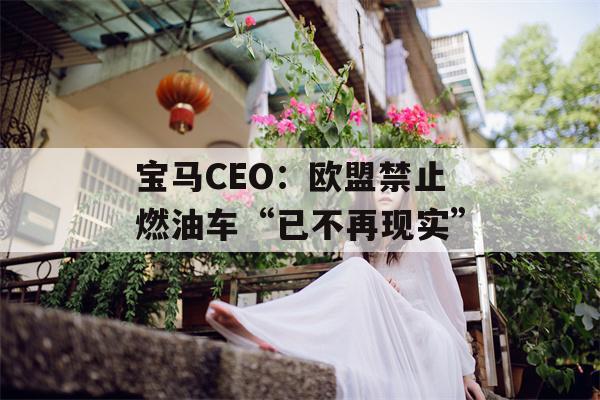 宝马CEO：欧盟禁止燃油车“已不再现实”