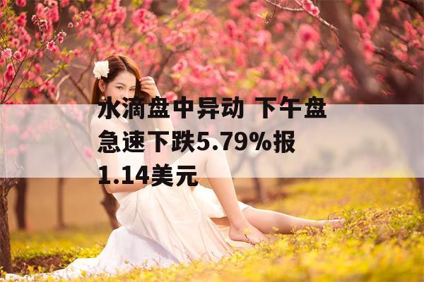 水滴盘中异动 下午盘急速下跌5.79%报1.14美元