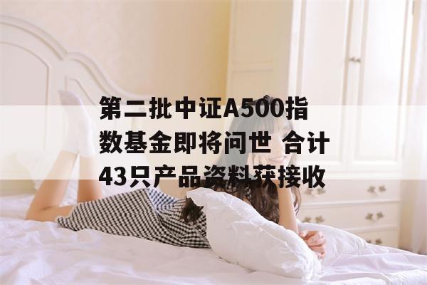 第二批中证A500指数基金即将问世 合计43只产品资料获接收