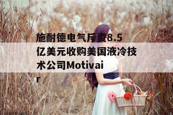 施耐德电气斥资8.5亿美元收购美国液冷技术公司Motivair