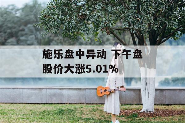 施乐盘中异动 下午盘股价大涨5.01%