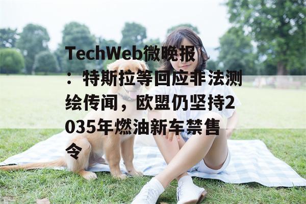 TechWeb微晚报：特斯拉等回应非法测绘传闻，欧盟仍坚持2035年燃油新车禁售令