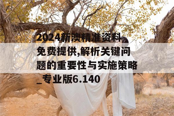 2024新澳精准资料免费提供,解析关键问题的重要性与实施策略_专业版6.140