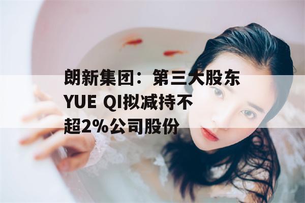 朗新集团：第三大股东YUE QI拟减持不超2%公司股份