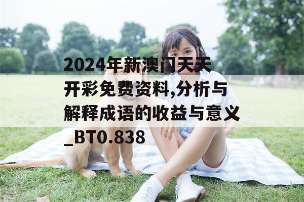 2024年新澳门天天开彩免费资料,分析与解释成语的收益与意义_BT0.838