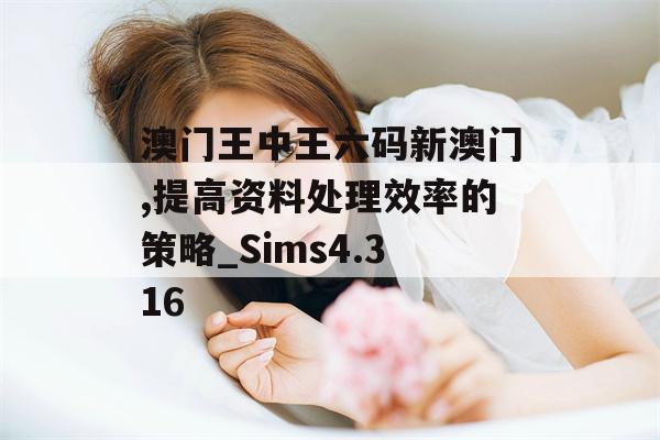 澳门王中王六码新澳门,提高资料处理效率的策略_Sims4.316