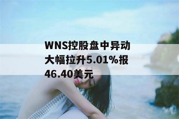 WNS控股盘中异动 大幅拉升5.01%报46.40美元