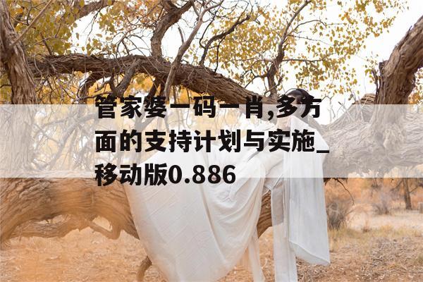 管家婆一码一肖,多方面的支持计划与实施_移动版0.886