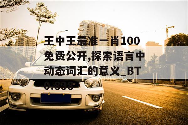 王中王最准一肖100免费公开,探索语言中动态词汇的意义_BT0.838