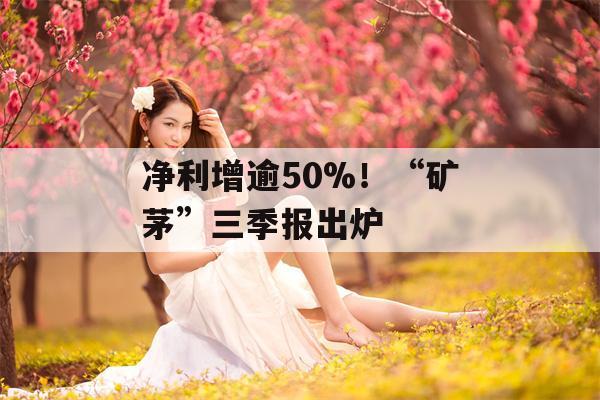 净利增逾50%！“矿茅”三季报出炉