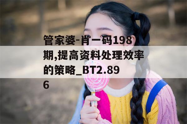 管家婆-肖一码198期,提高资料处理效率的策略_BT2.896