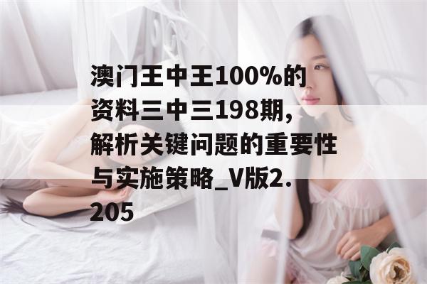 澳门王中王100%的资料三中三198期,解析关键问题的重要性与实施策略_V版2.205