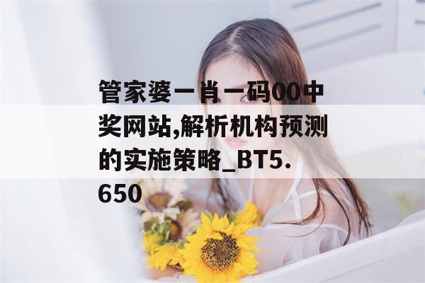 管家婆一肖一码00中奖网站,解析机构预测的实施策略_BT5.650