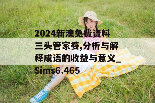 2024新澳免费资料三头管家婆,分析与解释成语的收益与意义_Sims6.465