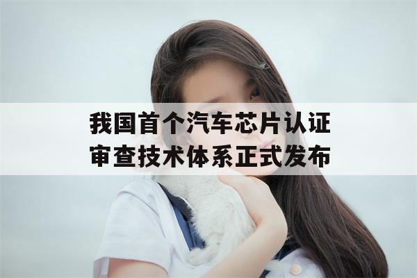 我国首个汽车芯片认证审查技术体系正式发布