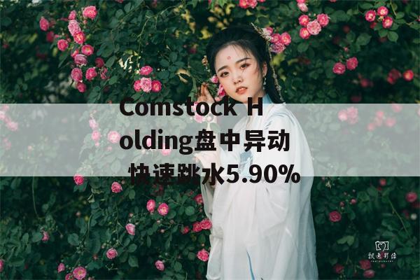 Comstock Holding盘中异动 快速跳水5.90%