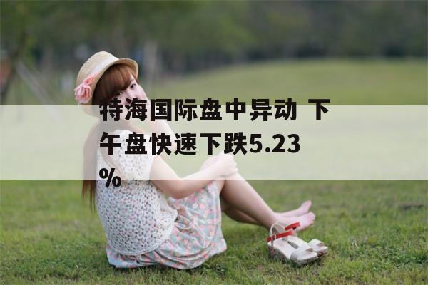 特海国际盘中异动 下午盘快速下跌5.23%