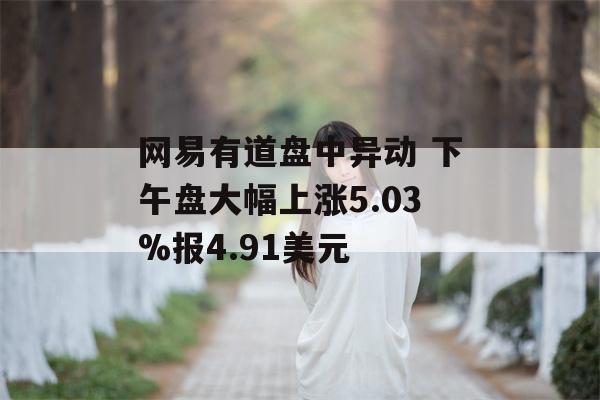 网易有道盘中异动 下午盘大幅上涨5.03%报4.91美元