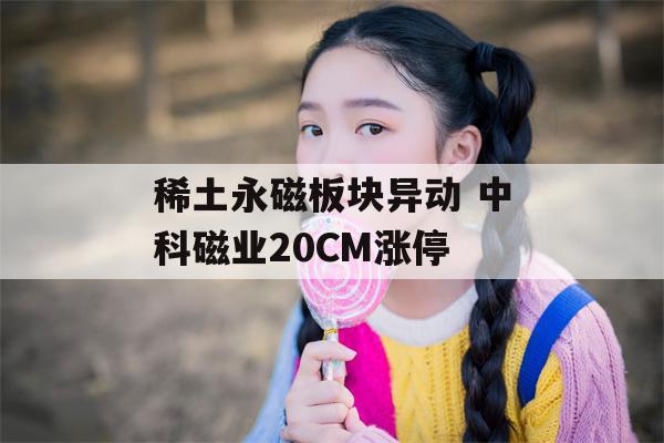 稀土永磁板块异动 中科磁业20CM涨停