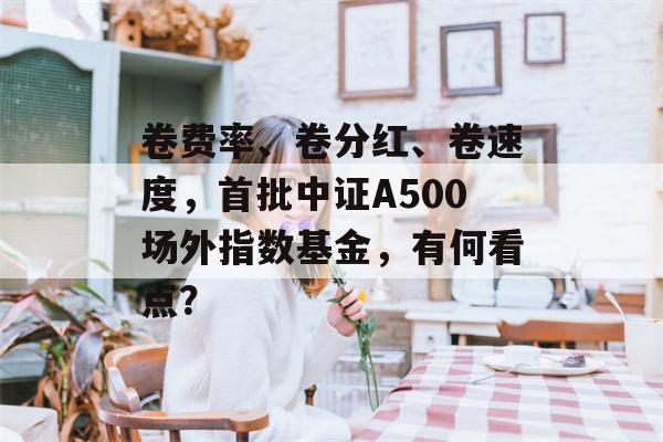 卷费率、卷分红、卷速度，首批中证A500场外指数基金，有何看点？