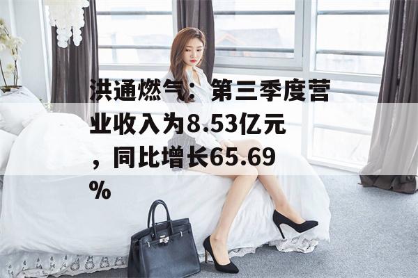 洪通燃气：第三季度营业收入为8.53亿元，同比增长65.69%