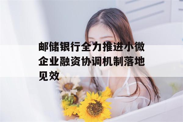 邮储银行全力推进小微企业融资协调机制落地见效