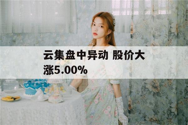 云集盘中异动 股价大涨5.00%