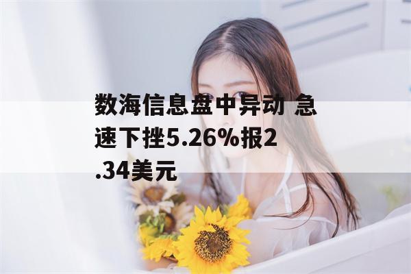 数海信息盘中异动 急速下挫5.26%报2.34美元