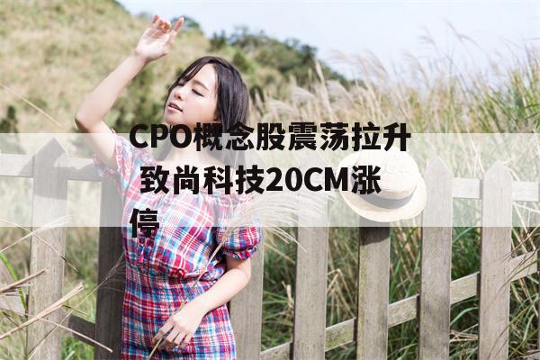 CPO概念股震荡拉升 致尚科技20CM涨停