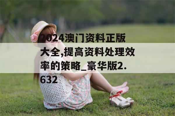 2024澳门资料正版大全,提高资料处理效率的策略_豪华版2.632