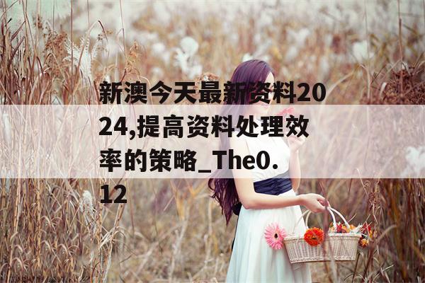 新澳今天最新资料2024,提高资料处理效率的策略_The0.12