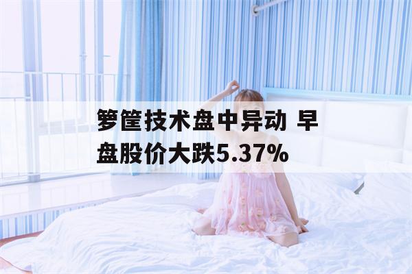 箩筐技术盘中异动 早盘股价大跌5.37%