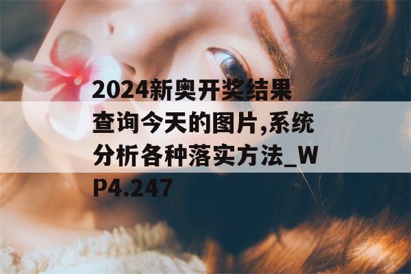 2024新奥开奖结果查询今天的图片,系统分析各种落实方法_WP4.247