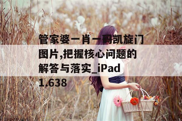 管家婆一肖一码凯旋门图片,把握核心问题的解答与落实_iPad1.638