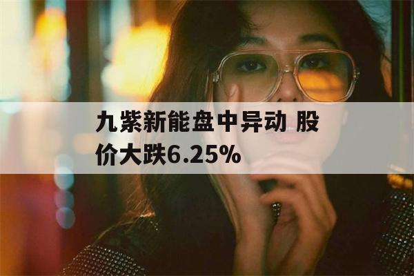 九紫新能盘中异动 股价大跌6.25%