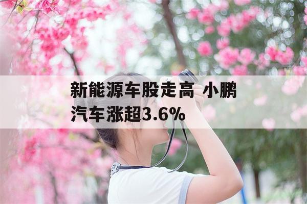 新能源车股走高 小鹏汽车涨超3.6%