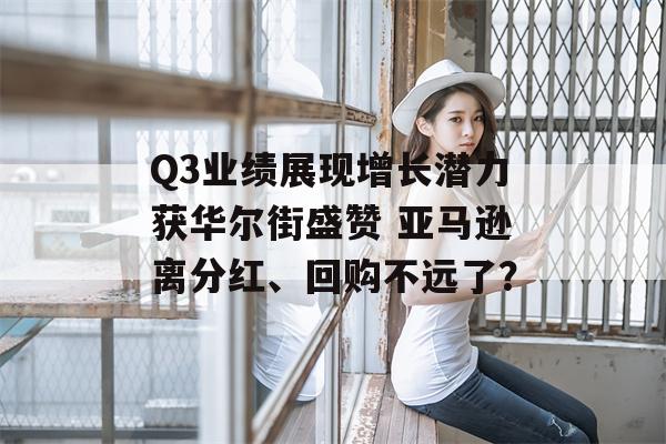 Q3业绩展现增长潜力获华尔街盛赞 亚马逊离分红、回购不远了？