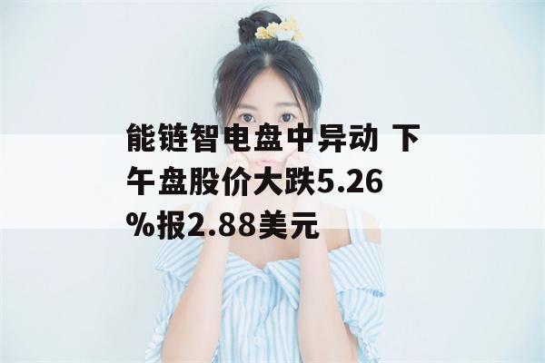 能链智电盘中异动 下午盘股价大跌5.26%报2.88美元