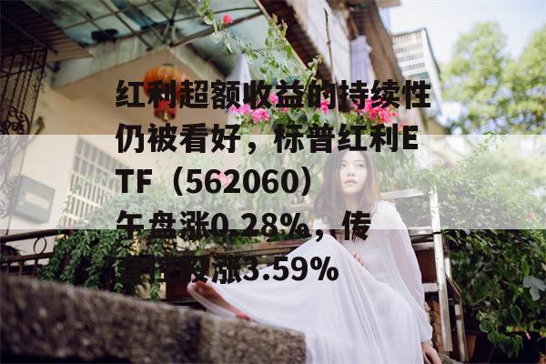 红利超额收益的持续性仍被看好，标普红利ETF（562060）午盘涨0.28%，传音控股涨3.59%