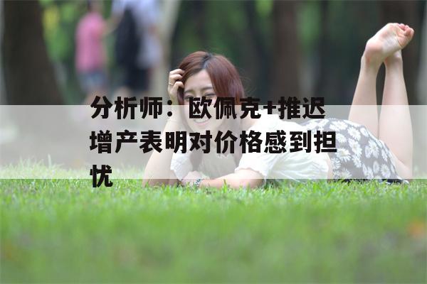 分析师：欧佩克+推迟增产表明对价格感到担忧