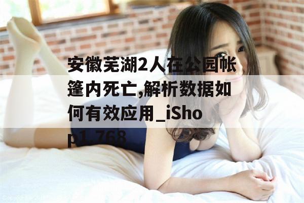 安徽芜湖2人在公园帐篷内死亡,解析数据如何有效应用_iShop1.768