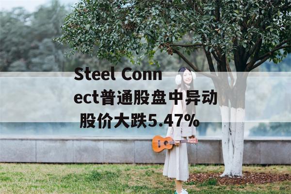 Steel Connect普通股盘中异动 股价大跌5.47%