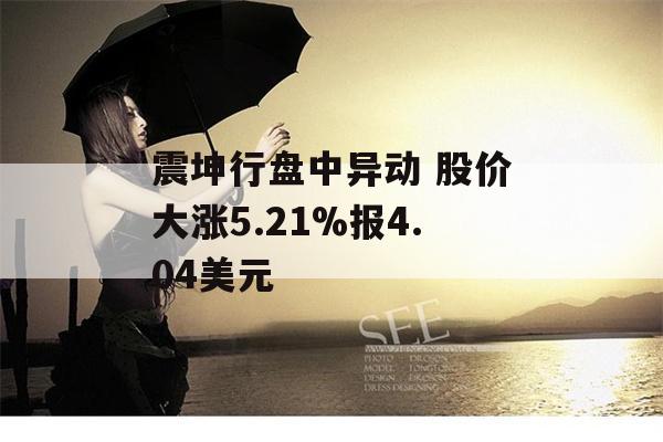 震坤行盘中异动 股价大涨5.21%报4.04美元