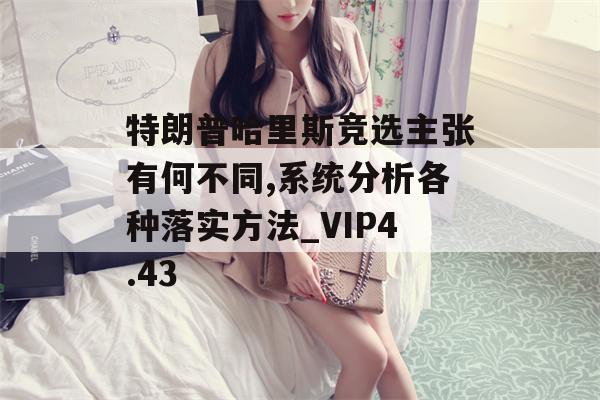 特朗普哈里斯竞选主张有何不同,系统分析各种落实方法_VIP4.43