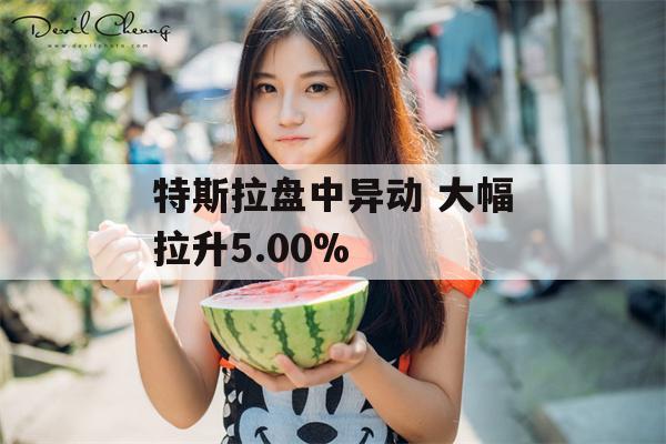 特斯拉盘中异动 大幅拉升5.00%